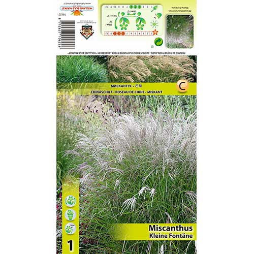 1 buc, Stuf chinezesc (Miscanthus) Kleine Fontane - Bulbi: Mod de ambalare: 1 buc