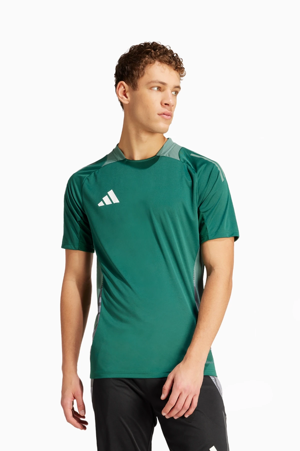 Koszulka adidas Tiro 24 Competition Training - Zielony