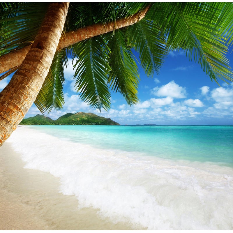 Fototapeta Plaża Palmy Piasek Ocean Natura 250x175 cm Tapeta Do Sypialni Salonu Kuchni Na Flizelinie