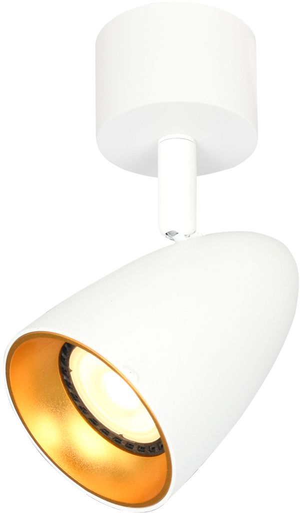 Italux Tino lampa podsufitowa 1x10 W biała SPL-36748-1R-WH-GD