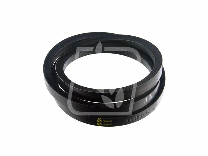 Pas 80396750 New Holland 22 x 1905