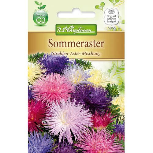 Aster chiński Strahlen, mix - Nasiona. Ilość w opakowaniu: 1 opak - GradinaMax