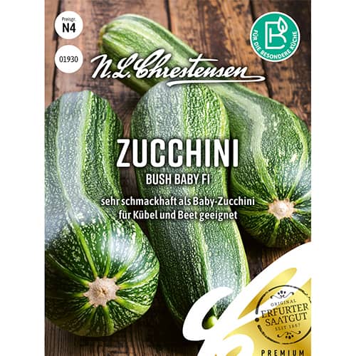 Cukinia Bush Baby F1 - Nasiona. Ilość w opakowaniu: 1 opak - GradinaMax