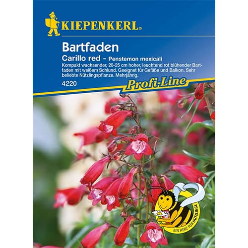 Penstemon meksykański Carillo Red - Nasiona. Ilość w opakowaniu: 1 opak - GradinaMax
