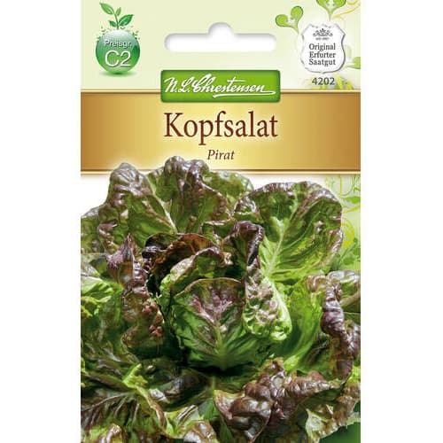 Sałata głowiasta Pirat - Nasiona. Ilość w opakowaniu: 1 opak - GradinaMax