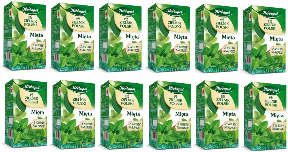 12x herbata ziołowa w torebkach Herbapol Zielnik Polski, mięta, 20 sztuk x 2g
