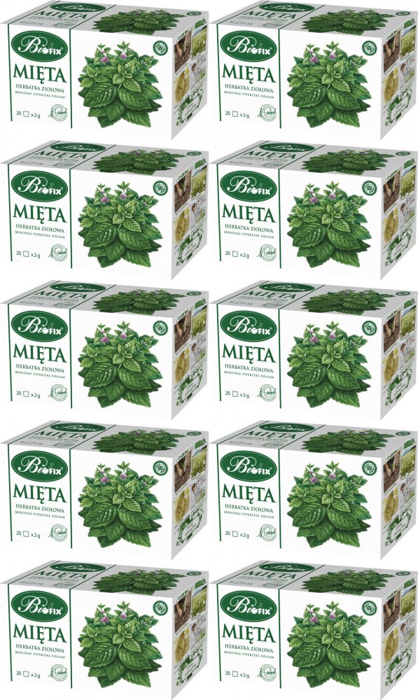 10x Herbata ziołowa w torebkach Bifix, mięta, 20 sztuk x 2g