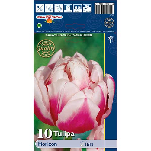 10 buc, Lalele Horizon - Bulbi: Mod de ambalare: 10 buc