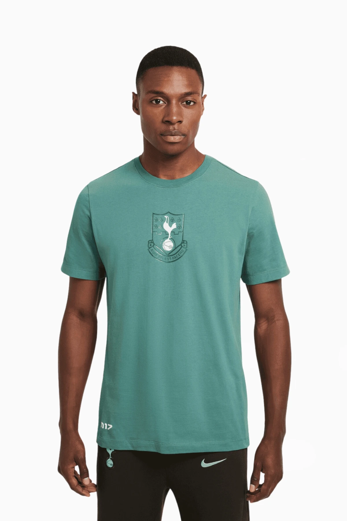 Koszulka Nike Tottenham Hotspur 24/25 Heritage - Zielony