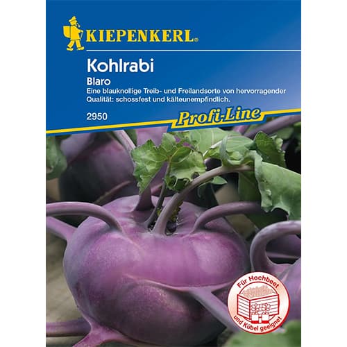 1 szt, Kohlrabi Blaro Kiepenkerl - Samen: Ilość w opakowaniu: 1 Stück