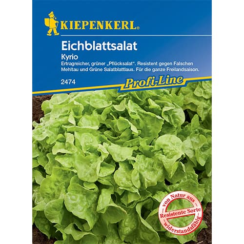 1 szt, Eichblattsalat Kyrio - Samen: Ilość w opakowaniu: 1 Stück