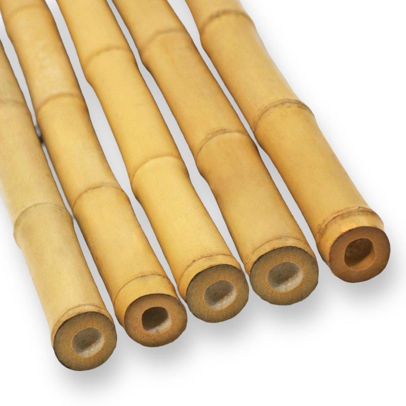 Opakowanie 5 ozdobnych lasek bambusowych Ø13-15 cm Długość 100 cm