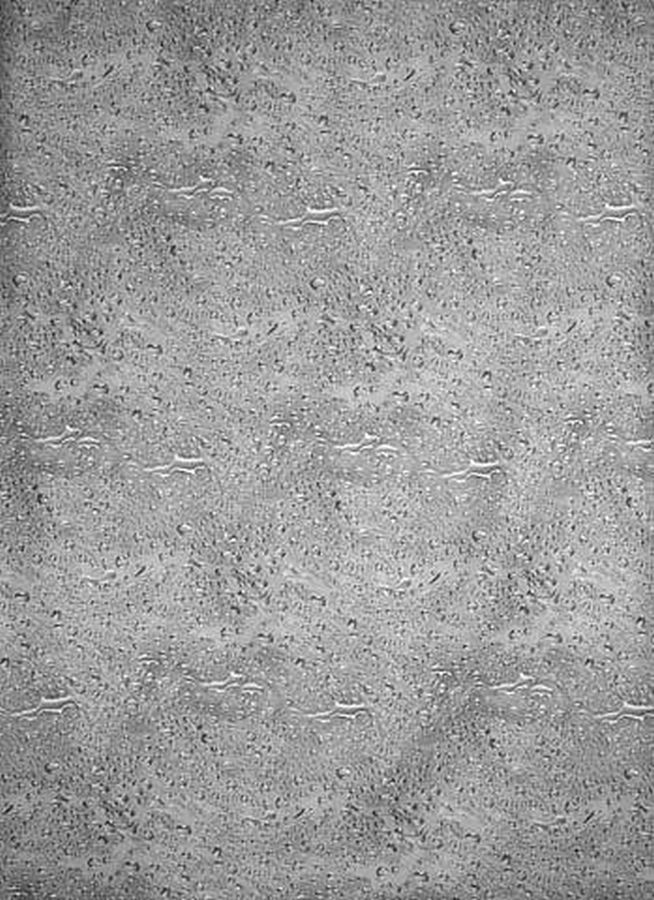 Duschy Water zasłona prysznicowa 200x180 cm szara 623-99 - Wysyłka w 24h