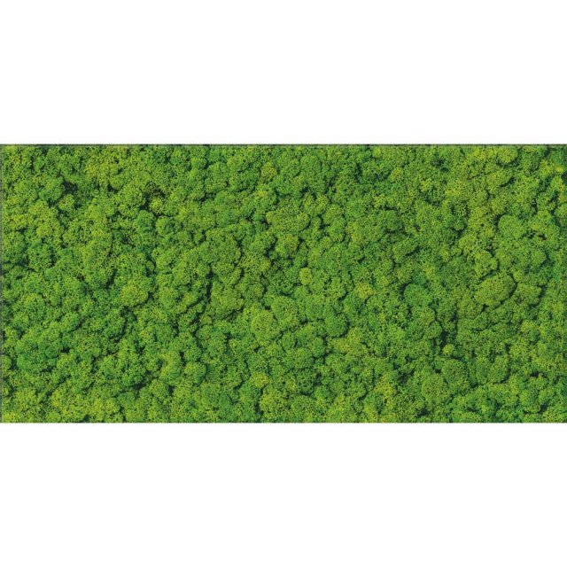 Płytka ścienna inserto FRESH MOSS green 29,8x59,8 gat. I