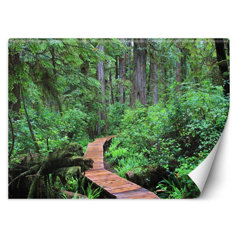 Fototapeta Feeby Kładka w lesie 350x245 1 szt
