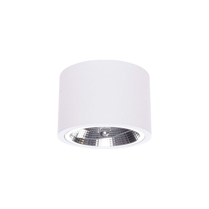 Oprawa natynkowa Light Prestige Camino biała ES111 1 szt