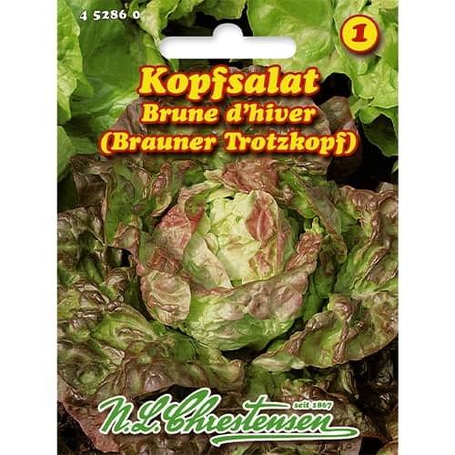 Sałata Brune d'hiver - Nasiona. Ilość w opakowaniu: 1 opak - GradinaMax