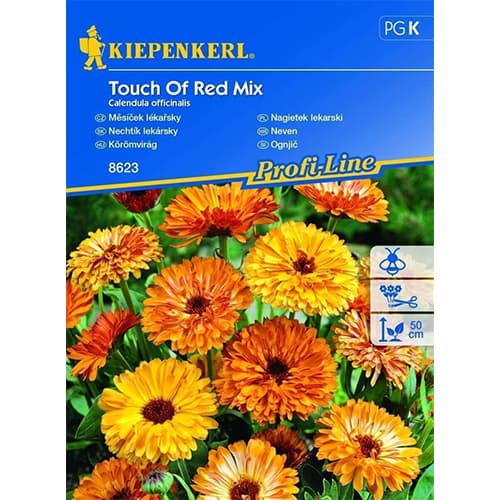 Nagietek lekarski Touch Of Red, mix - Nasiona. Ilość w opakowaniu: 1 opak - GradinaMax