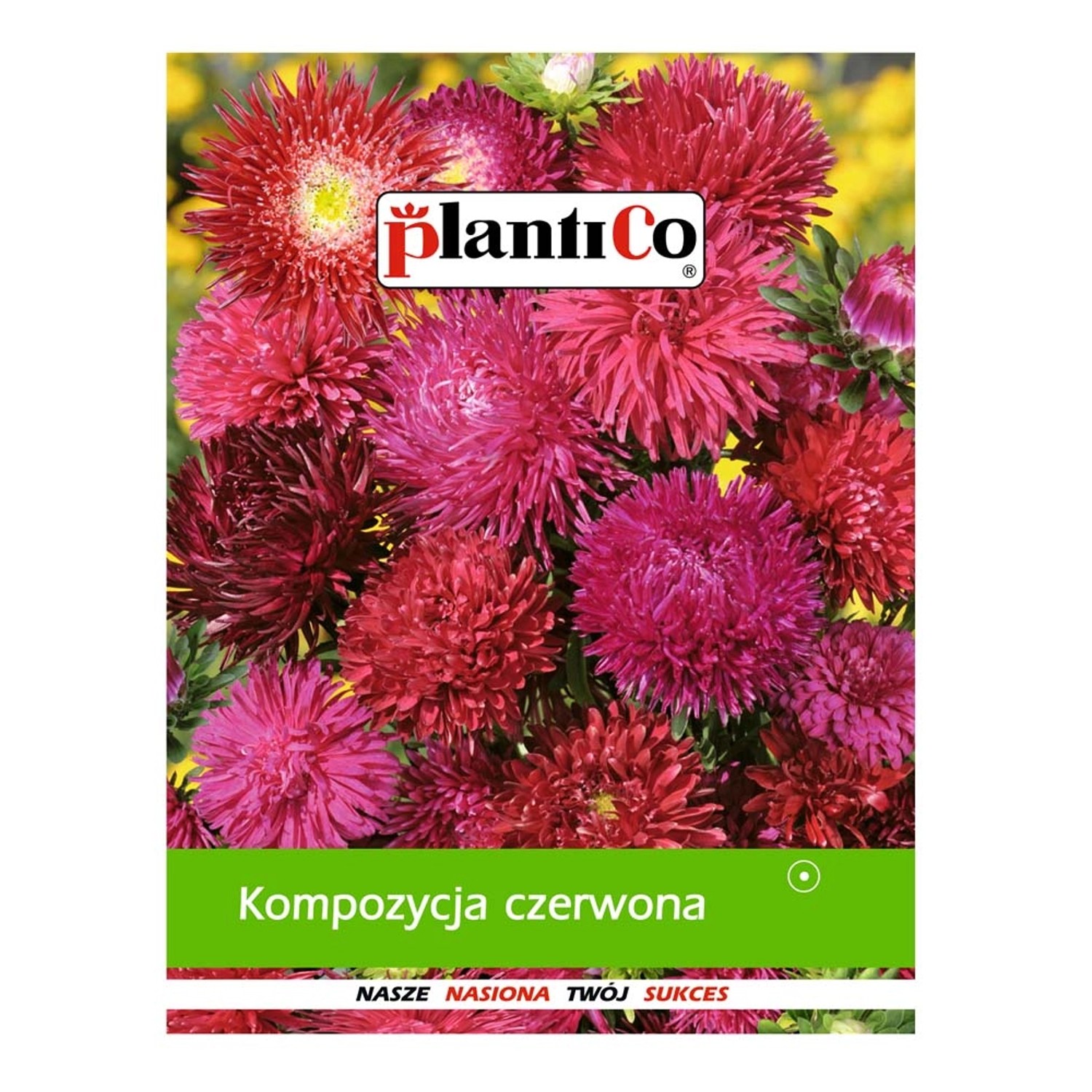 Kompozycja czerwona