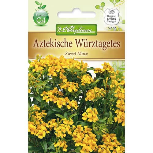 1 szt, Würz-Tagetes Sweet Mace - Samen: Ilość w opakowaniu: 1 Stück