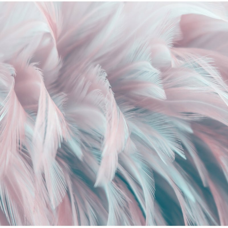 Fototapeta Pióra Różowy Pastelowy 150x105 cm Tapeta Do Sypialni Salonu Kuchni Na Flizelinie
