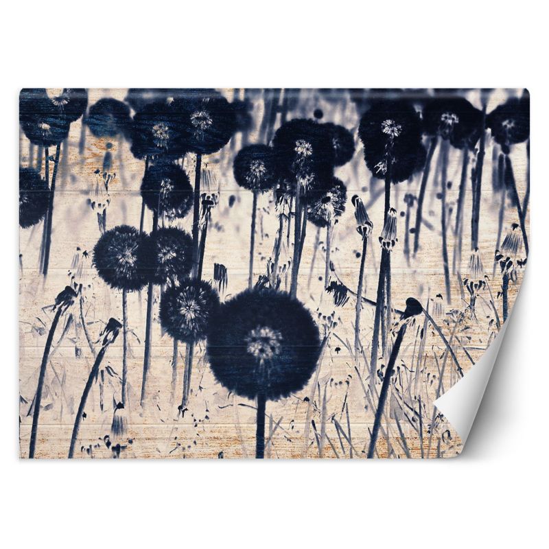 Fototapeta Feeby Monochromatyczne dmuchawce na postarzanych deskach 150x105 1 szt