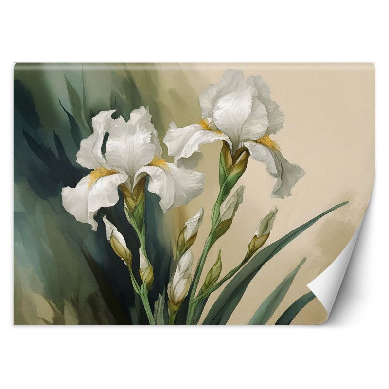 Fototapeta Feeby Białe kwiaty akwarelowe 200x140 1 szt