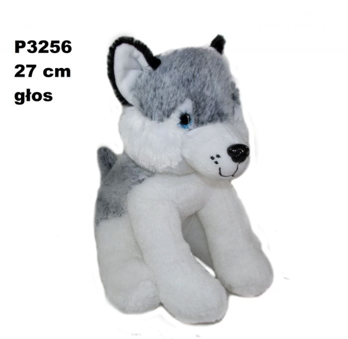 PIES HUSKI GLOS 24 CM 161703 SK