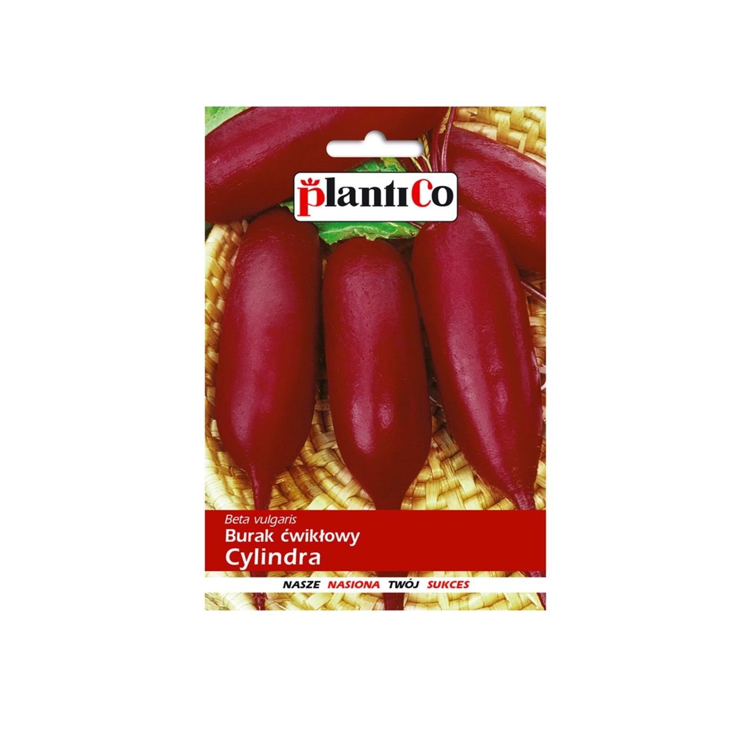 PlantiCo Burak ćwikłowy Cylindra 10g