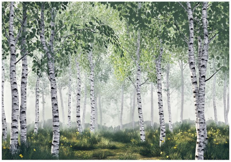 Fototapeta 3D Las Brzozowy Drzewa WALLARENA 300x210 cm Tapeta Do Sypialni Salonu Na Flizelinie 1 szt.