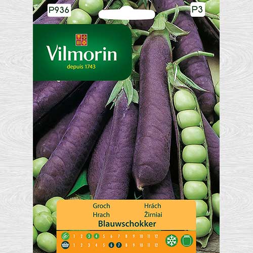 1 szt, Groch Blauwschokker - Nasiona: Ilość w opakowaniu: 20 g