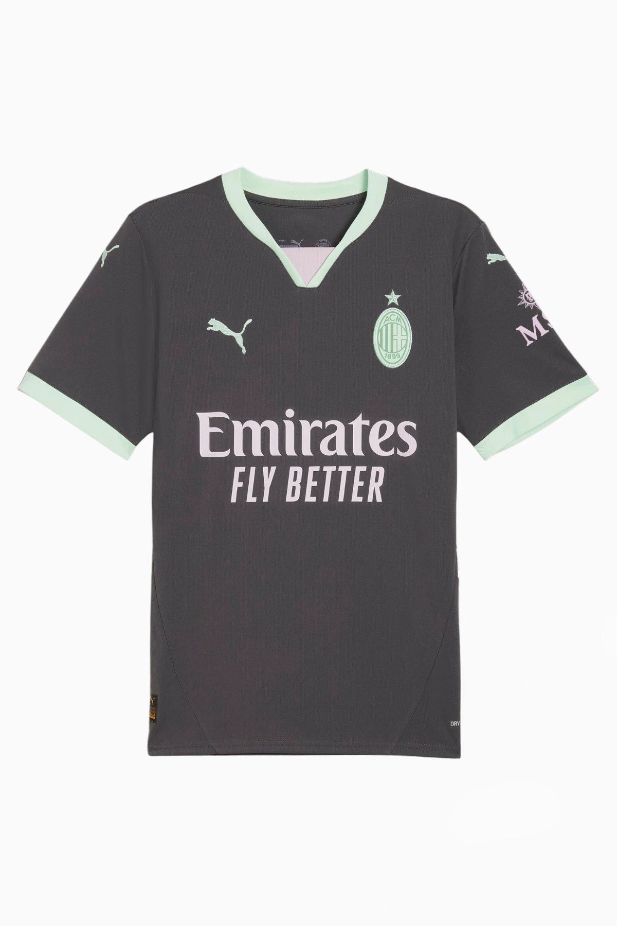 Koszulka Puma AC Milan 24/25 Trzecia Replica - Szary