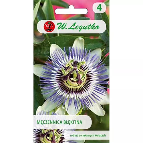 1 szt, Passionsblume blau - Samen: Ilość w opakowaniu: 0.2 g