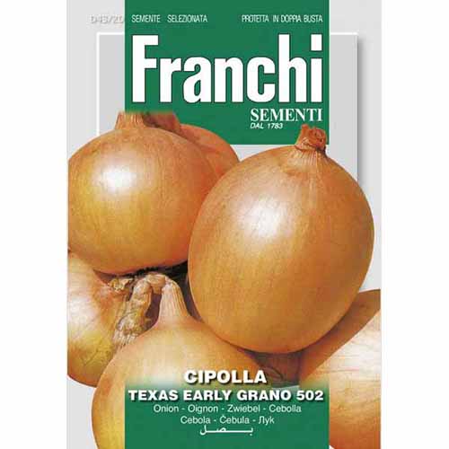 1 szt, Cebula Texas Early Grano 502 Morami - Nasiona: Ilość w opakowaniu: 4 g