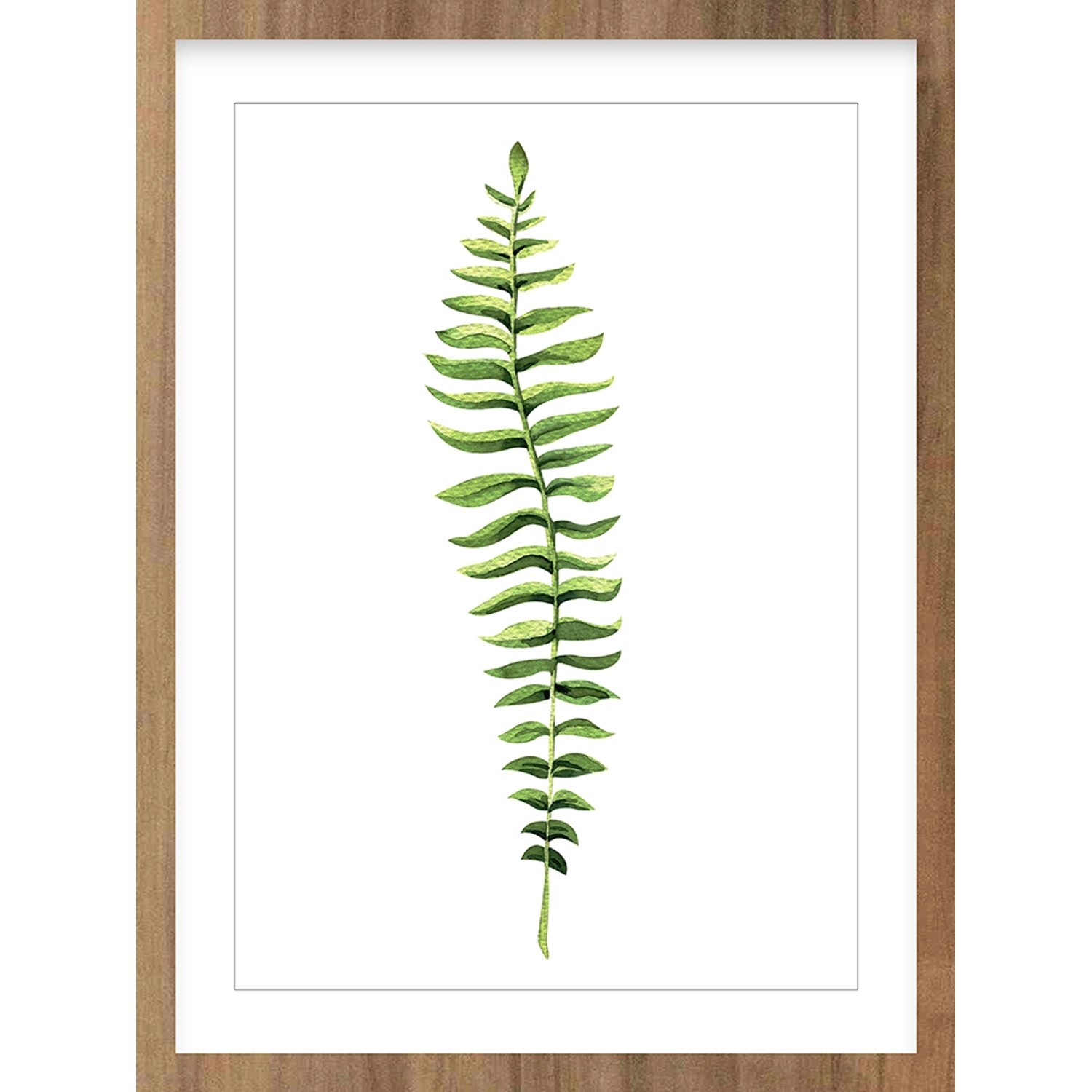 Obraz Modernpik GREENERY FR278 40 cm x 30 cm