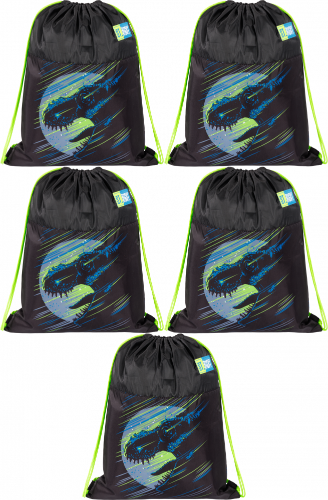 5x Worek na buty St.Right SO1, 34x43cm, Dinosaur