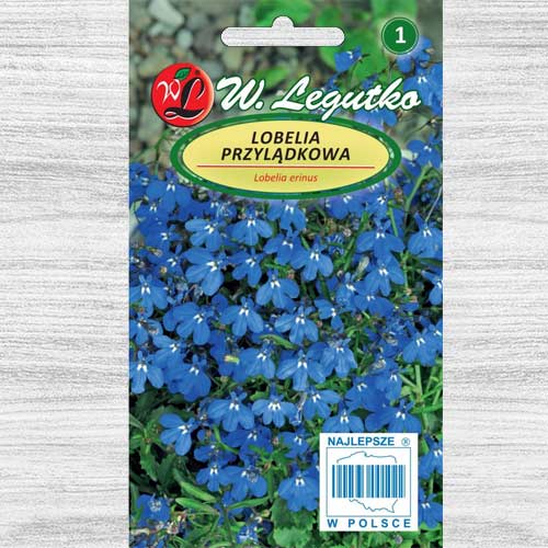 1 pac, Lobelia curgătoare albastră Legutko - Semințe: Mod de ambalare: 0.2 g