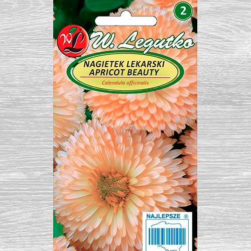 1 pac, Gălbenele Apricot Beauty Legutko - Semințe: Mod de ambalare: 2 g