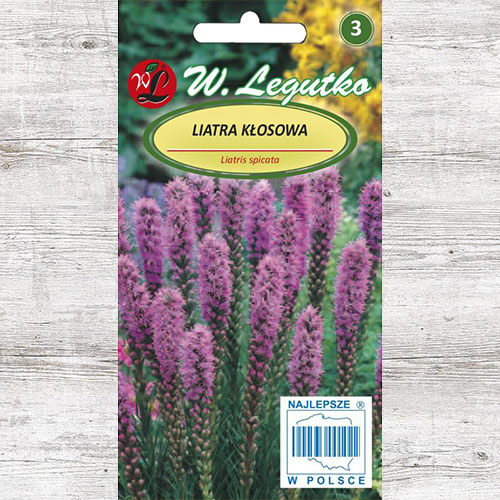 1 pac, Steaua strălucitoare (Liatris spicată) violet Legutko - Semințe: Mod de ambalare: 0.2 g