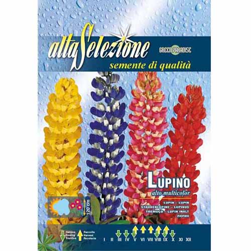 1 pac, Lupin înalt, mix multicolor - Semințe: Mod de ambalare: 2 g