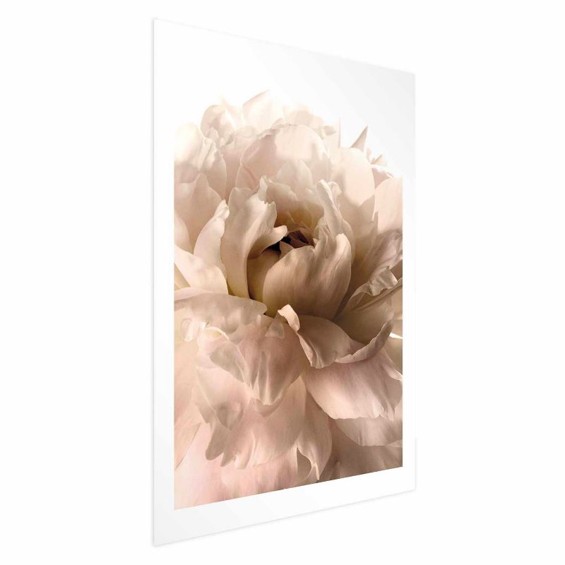Plakat Artgeist Miękkie płatki 60x90 cm bez ramy 1 szt