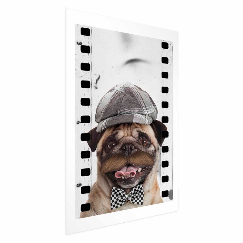 Plakat Artgeist Mops w czapce 29,7x42 cm bez ramy 1 szt