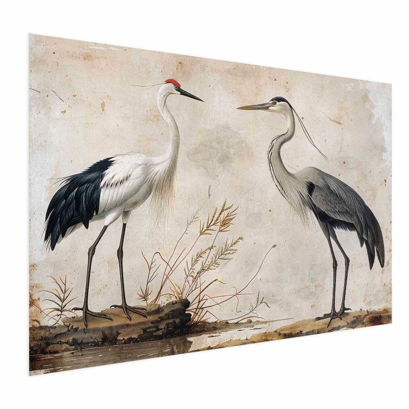 Plakat Artgeist Ptaki z ryciny 60x40 cm bez ramy 1 szt