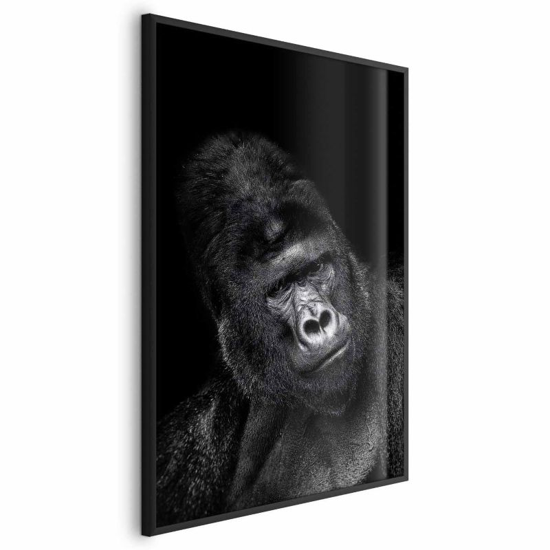 Plakat Artgeist Goryl 21x30 cm z ramą czarną 1 szt