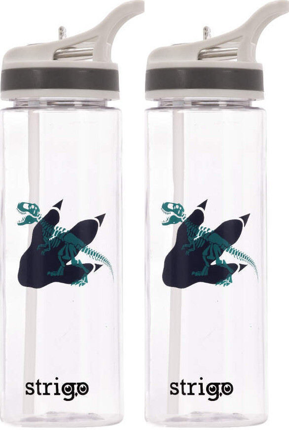 2x Bidon Strigo Dinozaur, 600ml, transparentny
