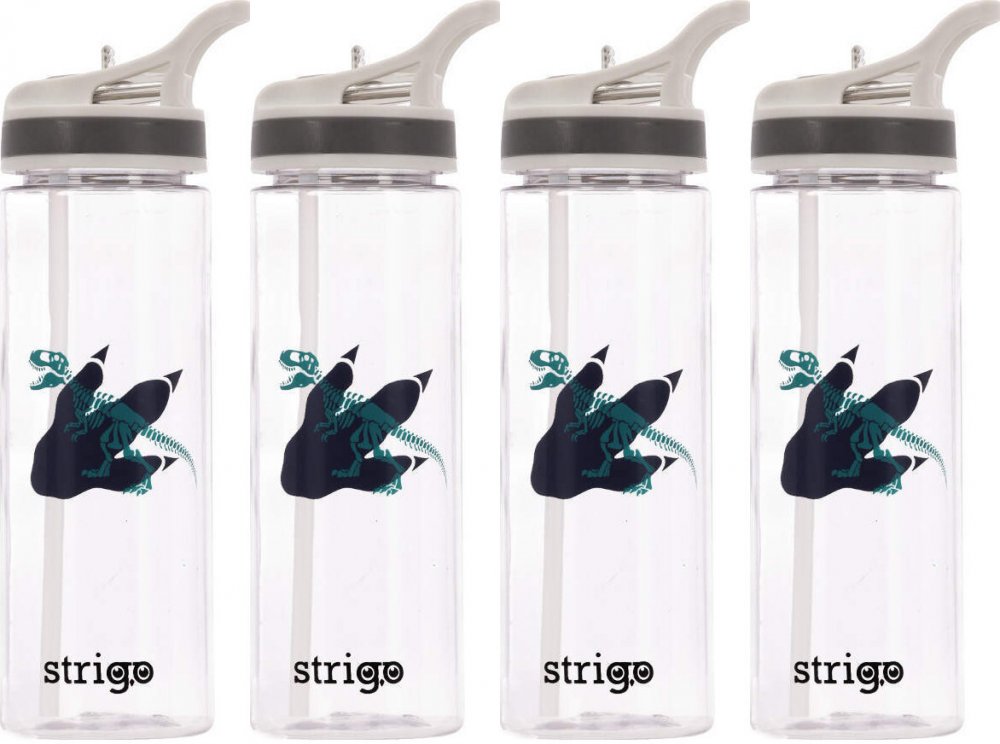 4x Bidon Strigo Dinozaur, 600ml, transparentny