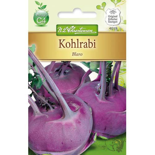 1 szt, Kohlrabi Blaro - Samen: Ilość w opakowaniu: 1 Stück