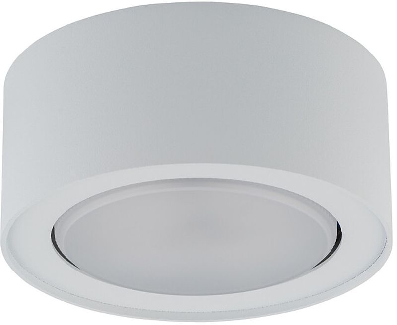 Darmowa Dostawa - Lampa podsufitowa Nowodvorski Lighting Flea 8202