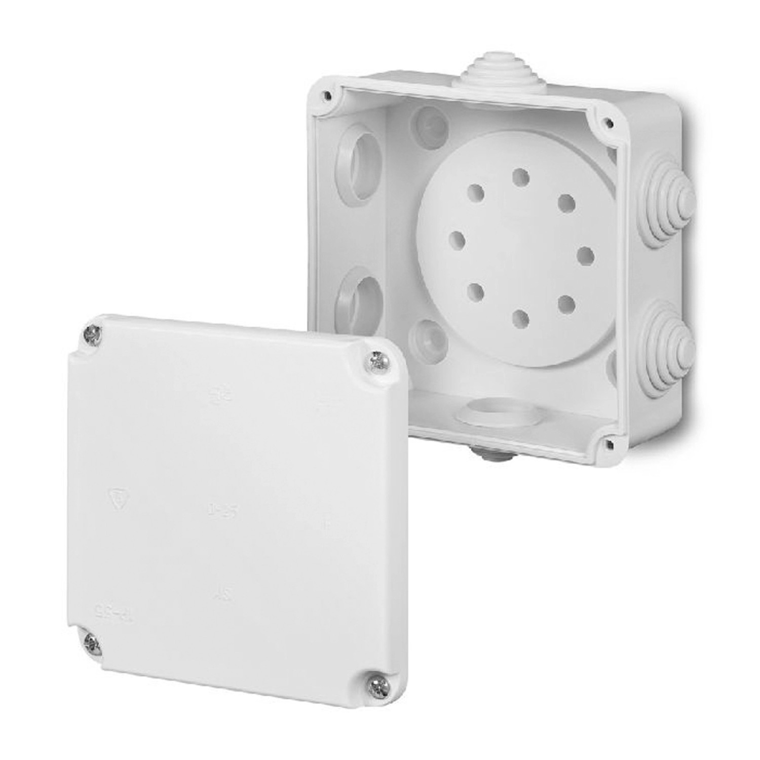 Elektro-Plast Odgałęźnik Ep Lux PK2 6 IP55