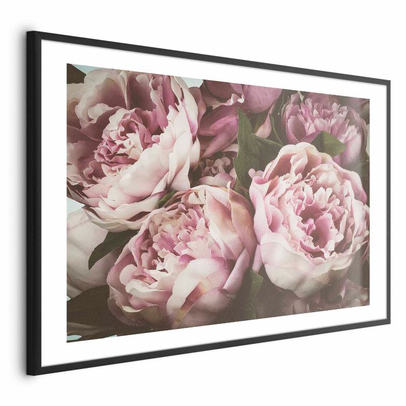 Plakat Artgeist Różowe piwonie 42x29,7 cm z ramą czarną 1 szt